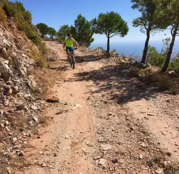 تختخواب و صبحانه Finca Roca Vista