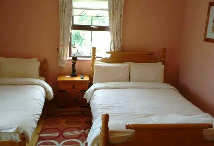 تختخواب و صبحانه Grannagh Castle House