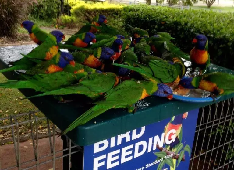 Aamiaismajoitus (B&B) Serenity Lodge For Couples