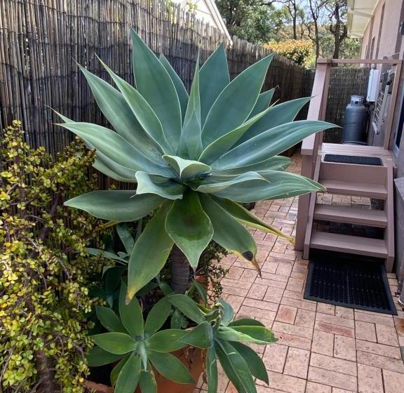 민박 Serenity Lodge For Couples