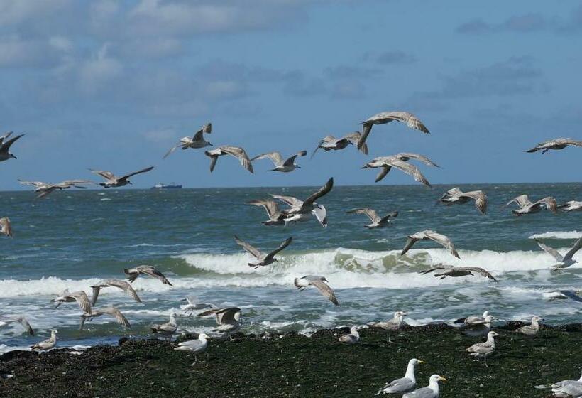 Bed & Breakfast Aan Zee
