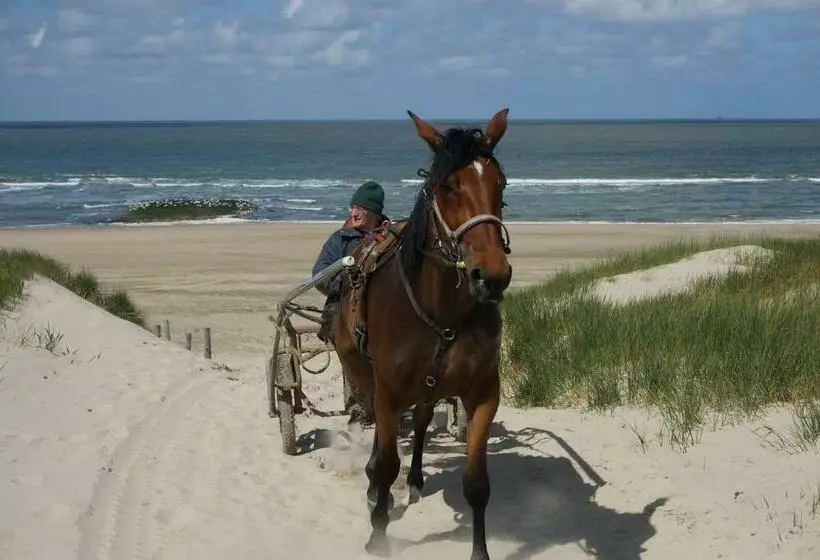 Bed & Breakfast Aan Zee