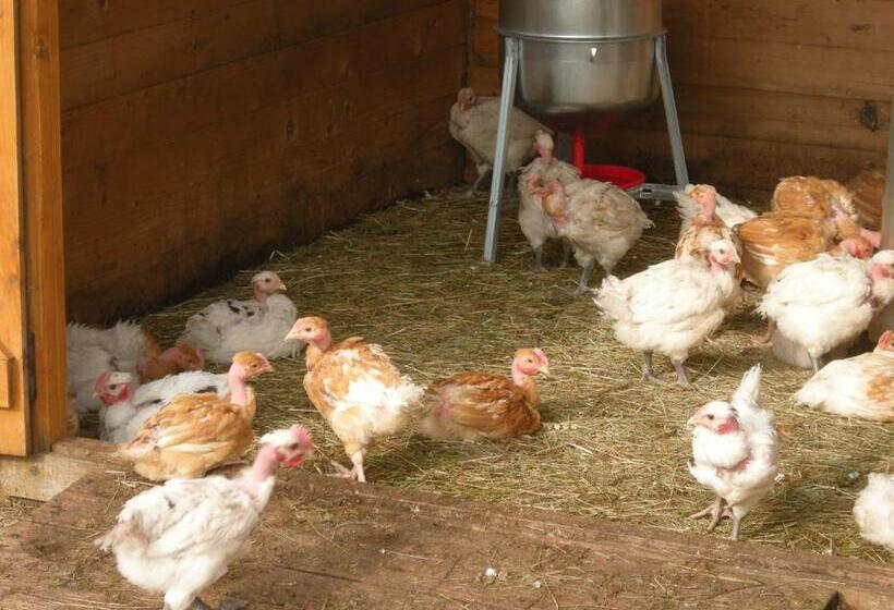 فندق Auberge Briassou