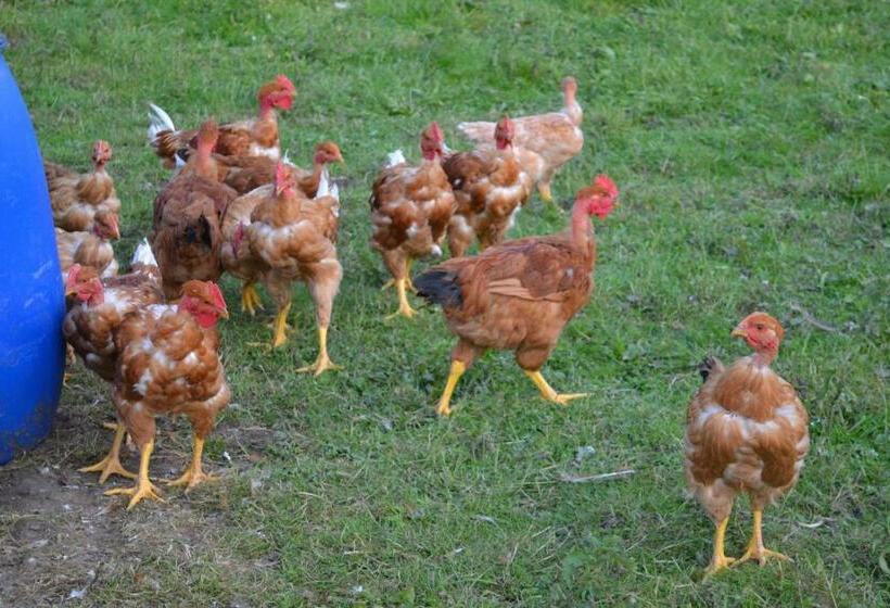 فندق Auberge Briassou