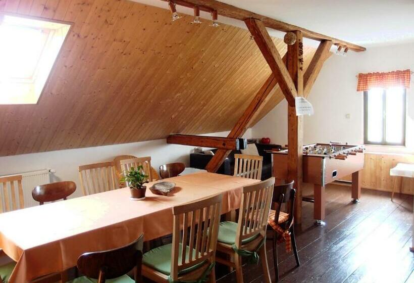 بنسيون Penzion, Apartmany Florian