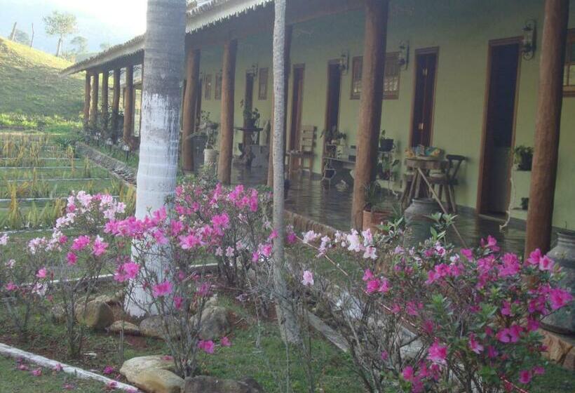 ペンション Pousada Das Palmeiras