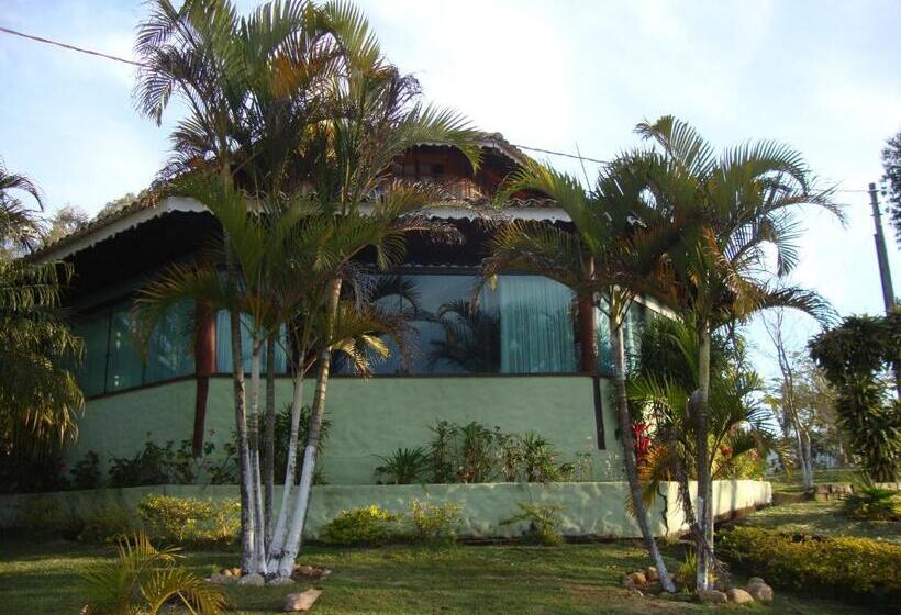 ペンション Pousada Das Palmeiras