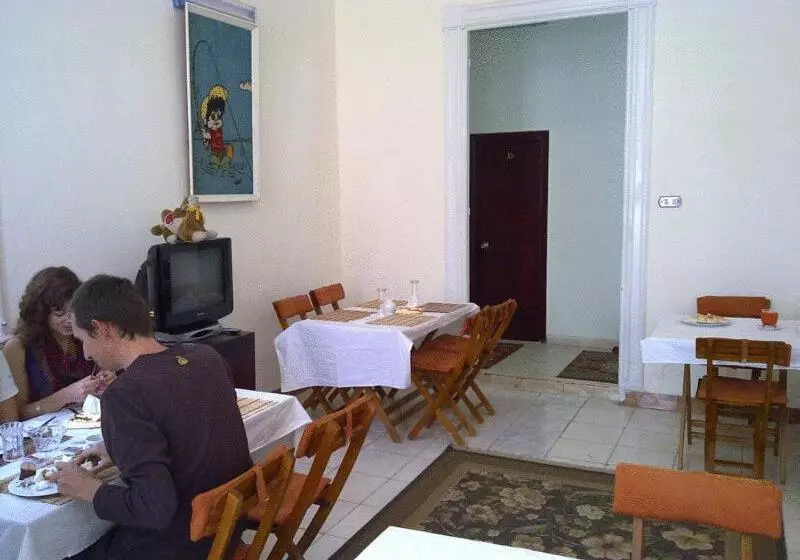 تختخواب و صبحانه Transit Alexandria Hostel