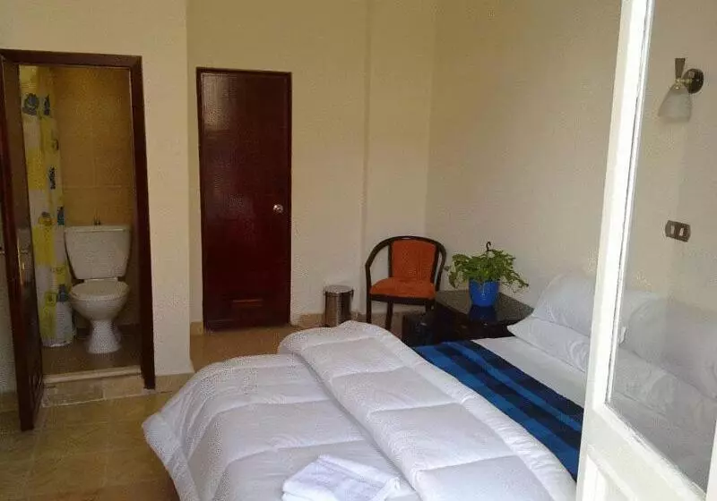 تختخواب و صبحانه Transit Alexandria Hostel