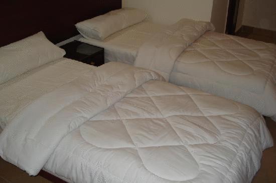 تختخواب و صبحانه Transit Alexandria Hostel