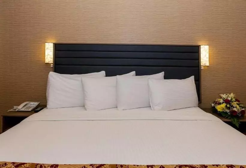 Отель Oasis Deira