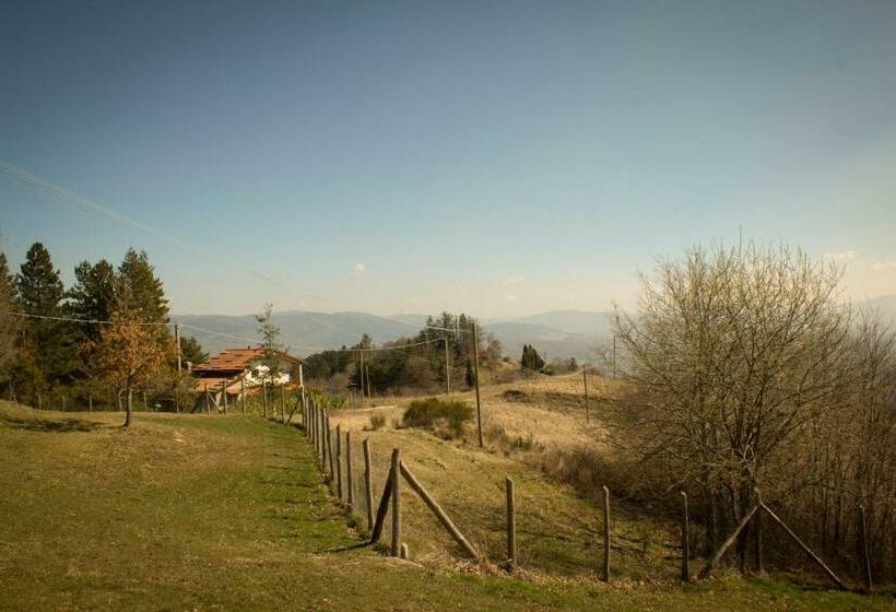 B&b Vista Casentino