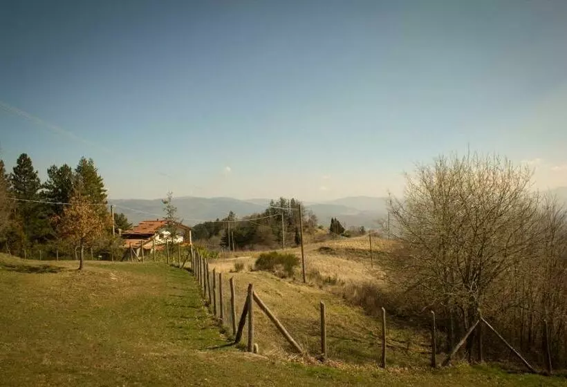B&b Vista Casentino