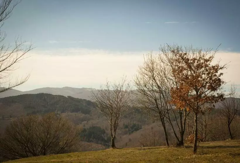 B&b Vista Casentino