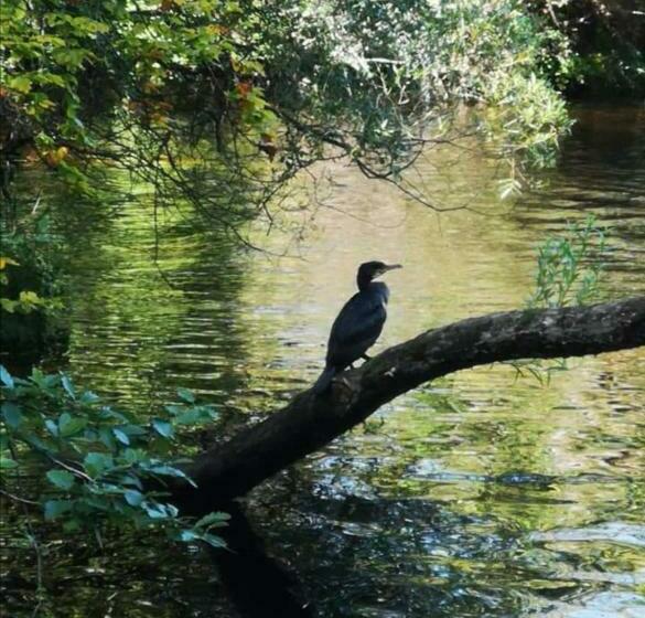 צימר Hillhaven Bed &breakfast