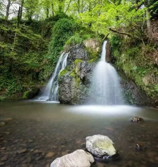 Aamiaismajoitus (B&B) Hillhaven Bed &breakfast