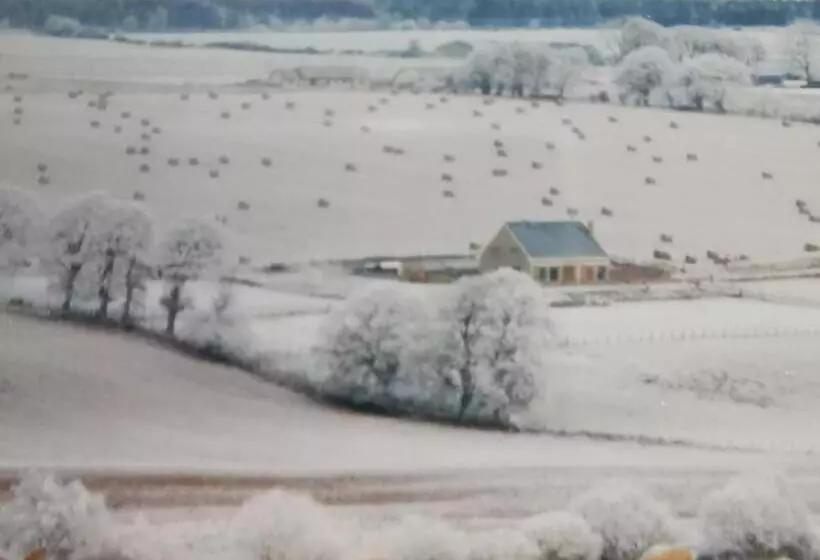 Aamiaismajoitus (B&B) Hillhaven Bed &breakfast