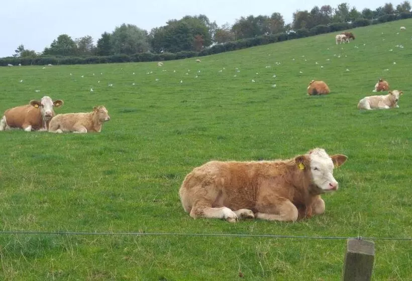 Aamiaismajoitus (B&B) Hillhaven Bed &breakfast