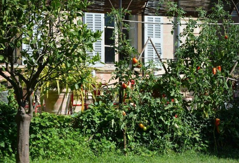 צימר Les Passiflores