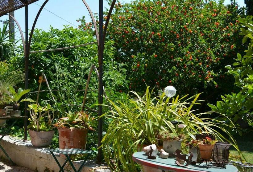 צימר Les Passiflores