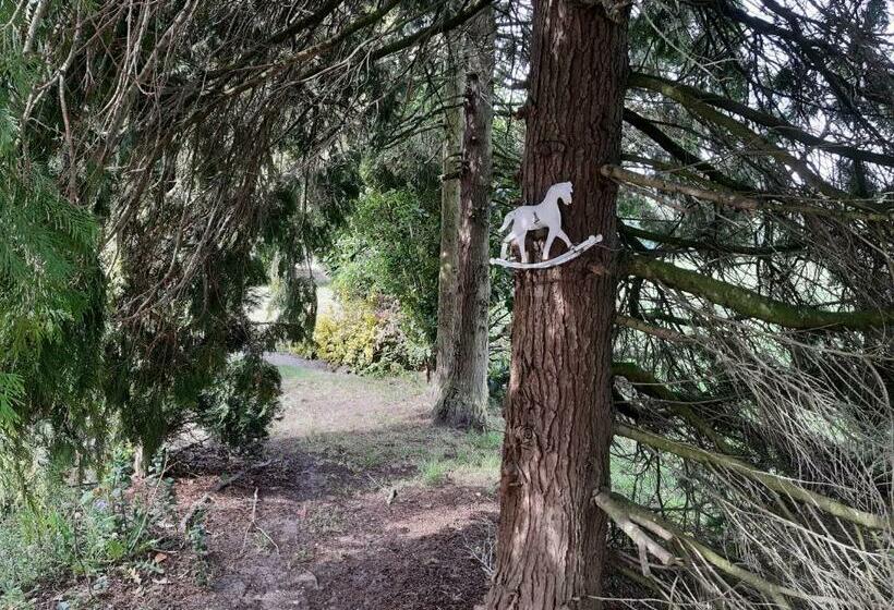 Bed & Breakfast In Ons Bakhuis