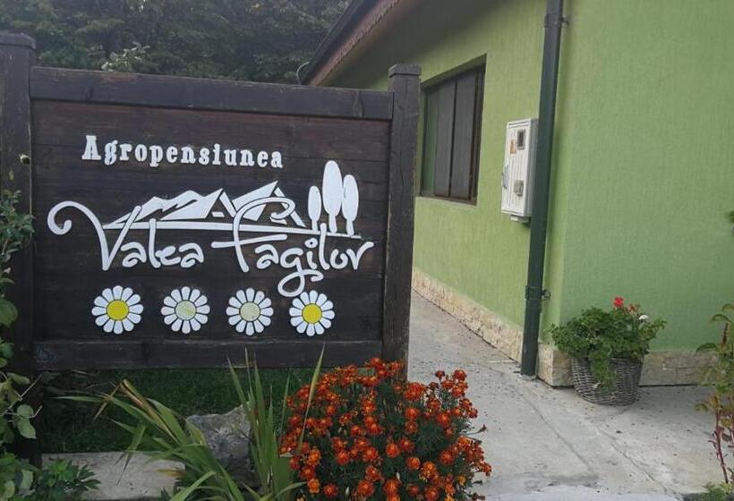 호텔 Agropensiunea Valea Fagilor