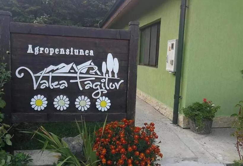 ホテル Agropensiunea Valea Fagilor