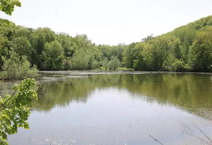ホテル Agropensiunea Valea Fagilor