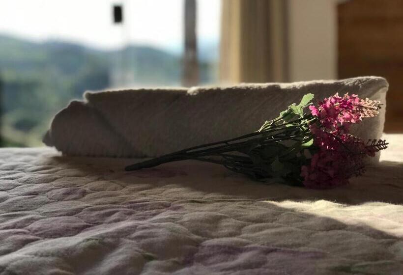 ホテル Casa Cambuí Hospedagem Rural