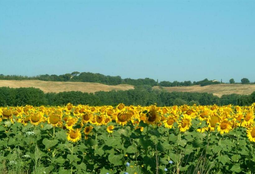 פנסיון Affittacamere Caliani