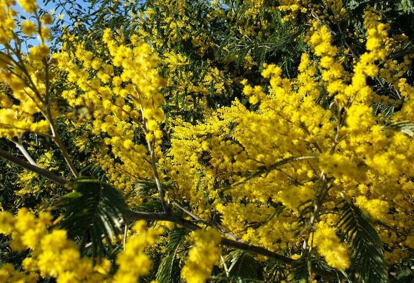 B&b Mob Mimizan On The Beach