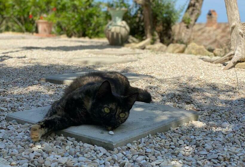 ベッドアンドブレックファースト Casa Delle Sorgenti