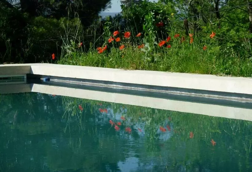 Bed and Breakfast L Oustalet