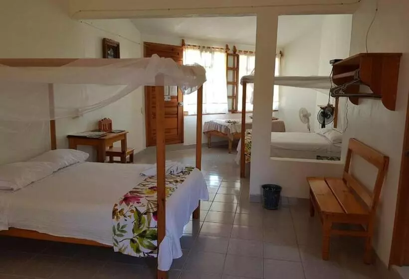 ホテル El Eden Bungalows