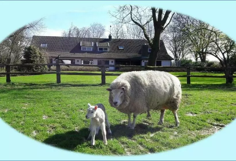 Aamiaismajoitus (B&B) Het Geheim Van Merselo