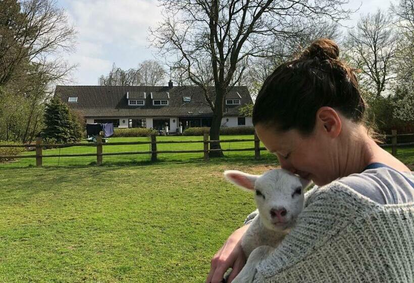 צימר Het Geheim Van Merselo