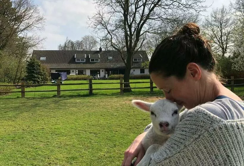 Aamiaismajoitus (B&B) Het Geheim Van Merselo