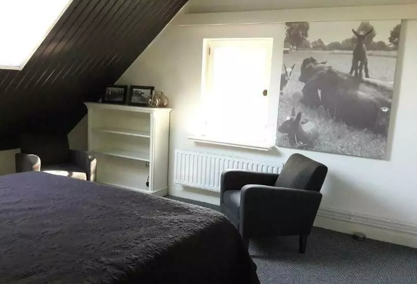 Aamiaismajoitus (B&B) Het Geheim Van Merselo