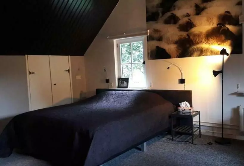 Aamiaismajoitus (B&B) Het Geheim Van Merselo