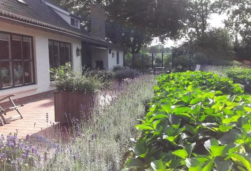 Aamiaismajoitus (B&B) Het Geheim Van Merselo