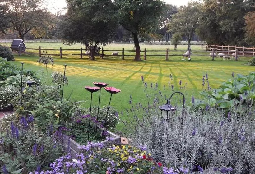 Aamiaismajoitus (B&B) Het Geheim Van Merselo