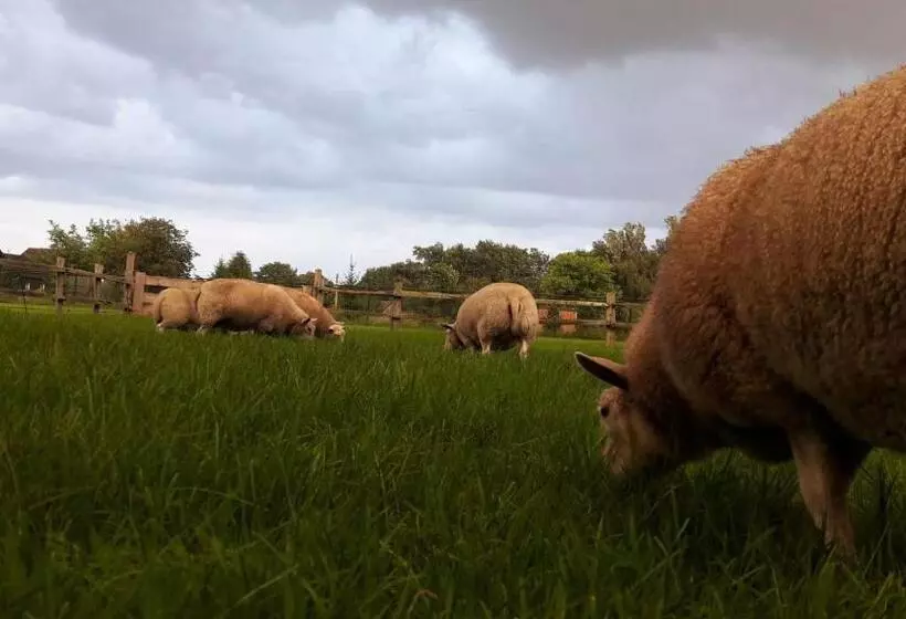 Aamiaismajoitus (B&B) Het Geheim Van Merselo