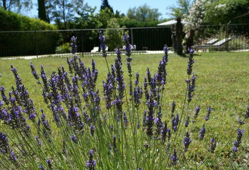 펜션 Côté Provence