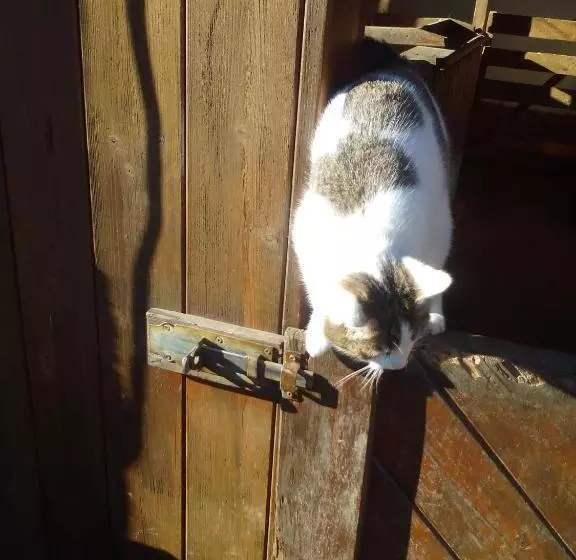 Majatalo Haus Jost Ingrid