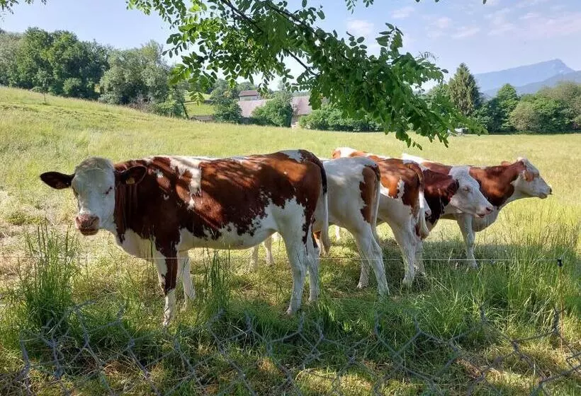 ベッドアンドブレックファースト Antre Lacs