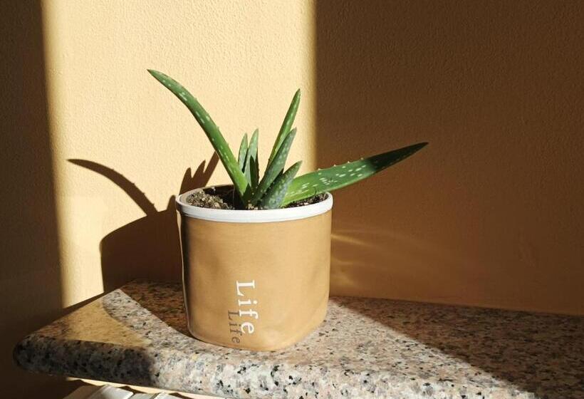 Bed And Breakfast Da Pio