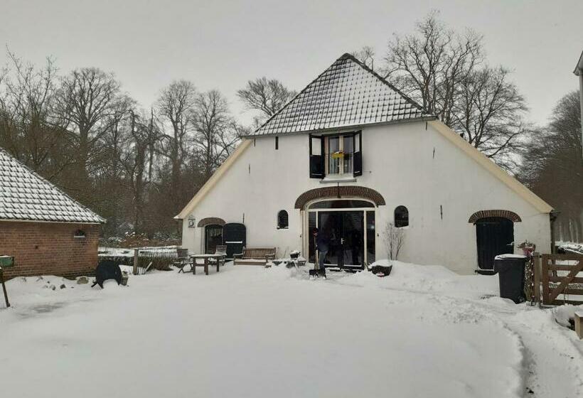 ベッドアンドブレックファースト Hoeve Op Vollenhof