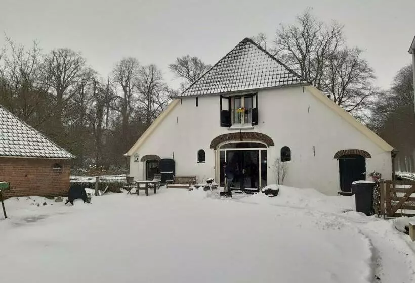 ベッドアンドブレックファースト Hoeve Op Vollenhof