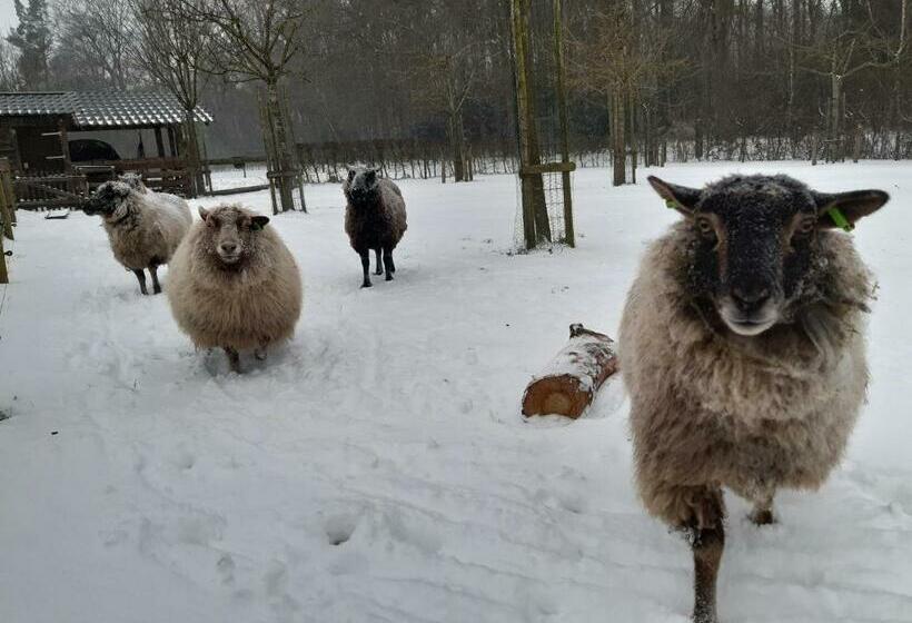 ベッドアンドブレックファースト Hoeve Op Vollenhof