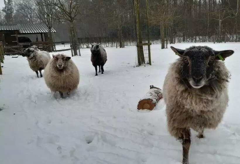 ベッドアンドブレックファースト Hoeve Op Vollenhof